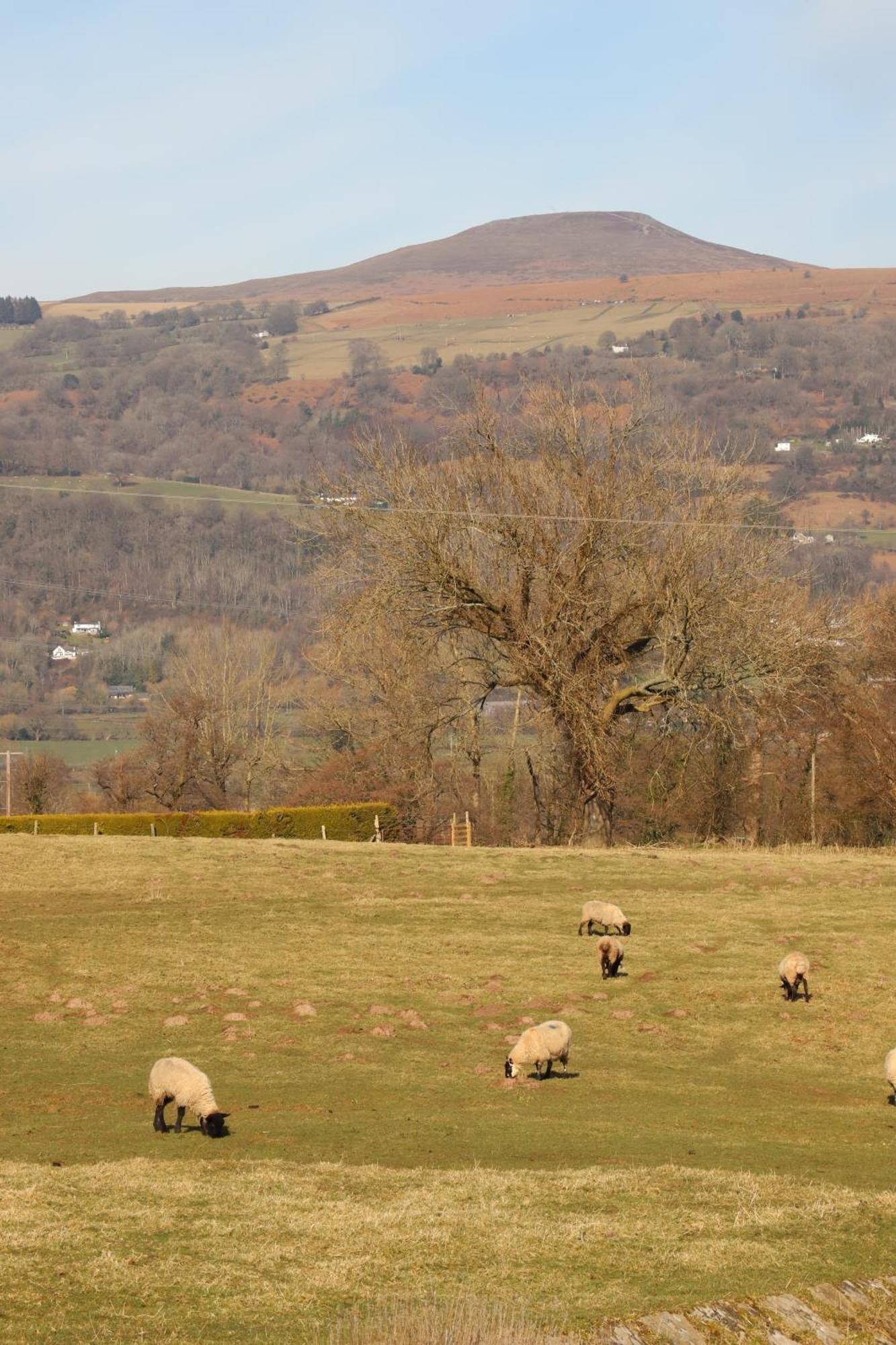 Cowshed In The Black Mountains Abergavenny Zewnętrze zdjęcie